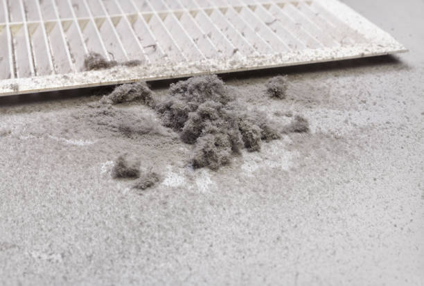 Best Residential Air Duct Cleaning  in West Branch, IA
