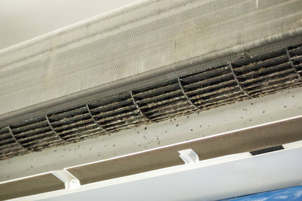 Affordable HVAC Duct Cleaning in West Branch, IA
